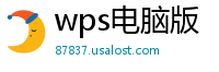 wps电脑版